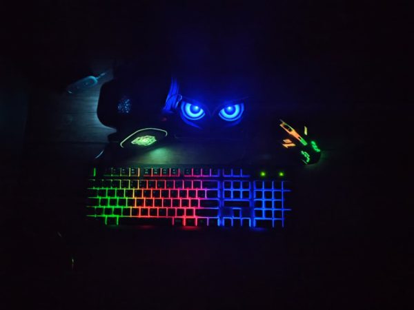 MOUSE AND KEYBOARD3